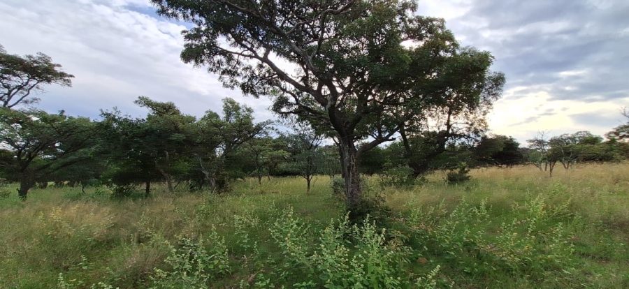 2 Bedroom Property for Sale in Koster North West